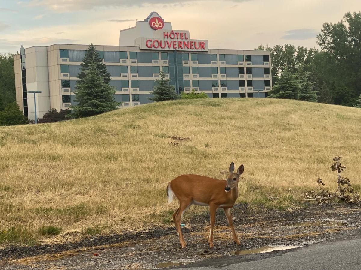 Hotels Gouverneur Montreal - Ile Charron ブーシャーヴィル エクステリア 写真